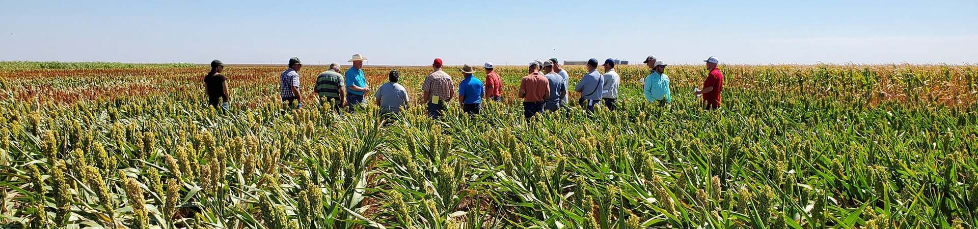 Group of people in a field