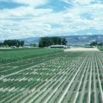 Western Colorado Research Center at Fruita