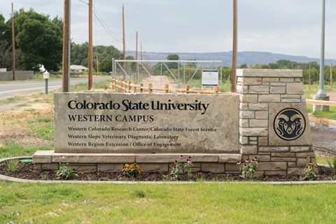 Colorado State University Western Campus entry photo
