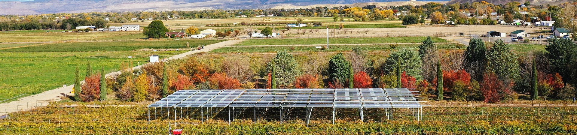 Agrivoltaic panels at the WCRC vineyard