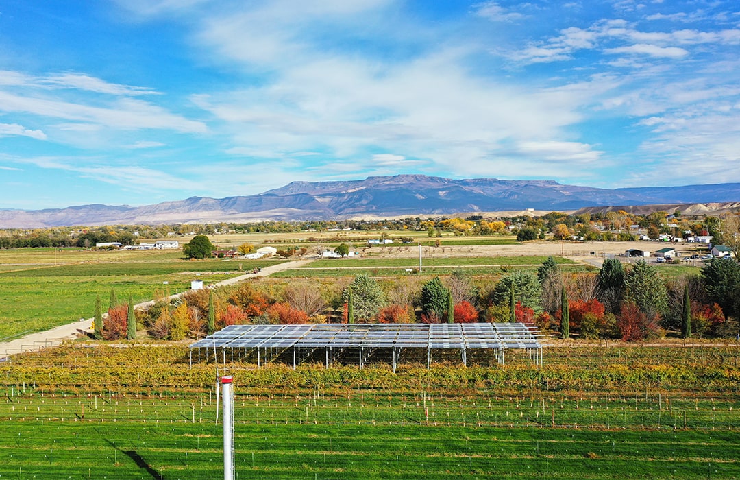 A view of the agrivoltaics panels at the WCRC vineyard, with the mountains in the background.